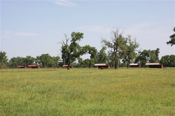 NFL Farms - Second set of horse grazing pens after the main area and passed the worker's houses (7/2/2015 - Credits: Yousef Kazemi)