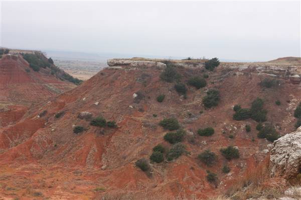 Gloss Mountains (11/16/2015 - Credits: Tava Sofsky)