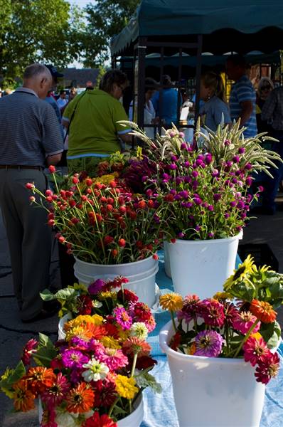 Edmond Festival Market Place (6/20/2016)