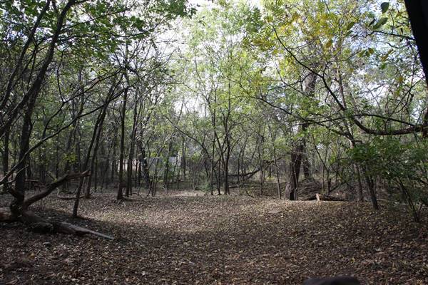 Camp DaKaNi (10/20/2017 - Credits: Christa Whetstone (intern))