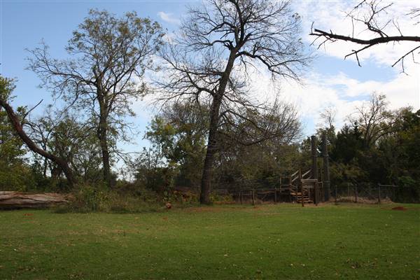 Camp DaKaNi (10/20/2017 - Credits: Christa Whetstone (intern))