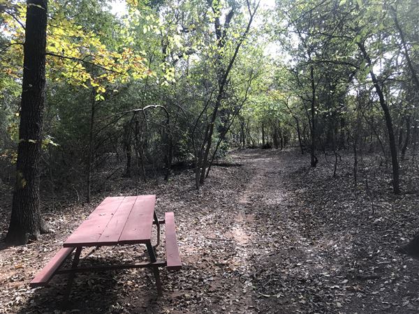 Camp DaKaNi (10/20/2017 - Credits: Yousef Kazemi)