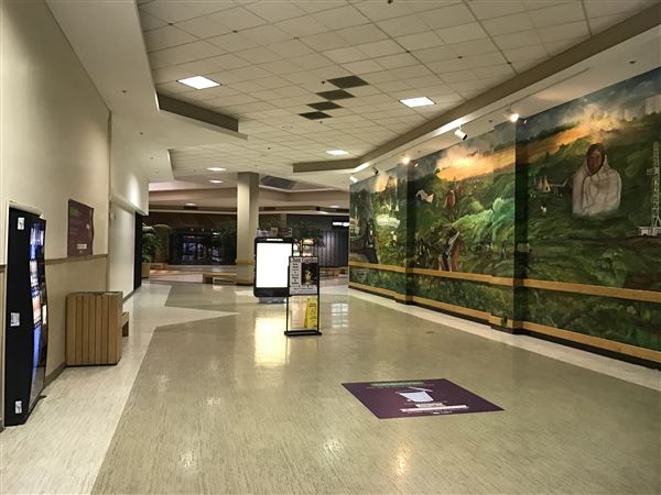 Oakwood Mall (2/16/2018 - Credits: Yousef Kazemi)