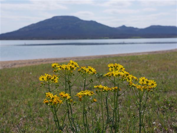 Lake Lawtonka (4/24/2018 - Credits: Yousef Kazemi)