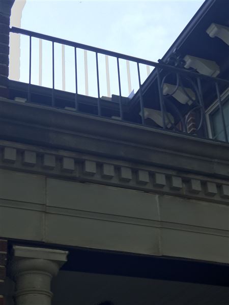 Williams Residence (5/28/2018 - Credits: Steve Maddox)