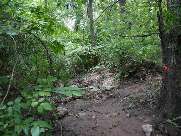 Stinchcomb Wildlife Refuge (7/31/2018 - Credits: Noah Janoe)