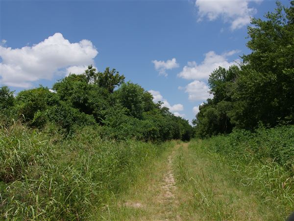 Stinchcomb Wildlife Refuge (7/31/2018 - Credits: Noah Janoe)