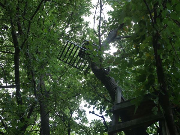 Stinchcomb Wildlife Refuge (7/31/2018 - Credits: Noah Janoe)