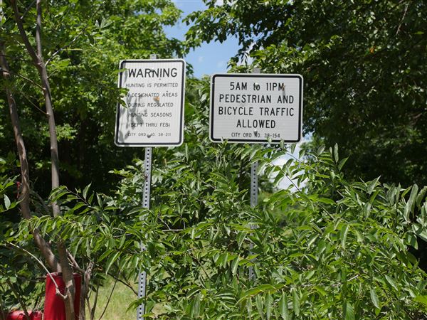 Stinchcomb Wildlife Refuge (7/31/2018 - Credits: Noah Janoe)