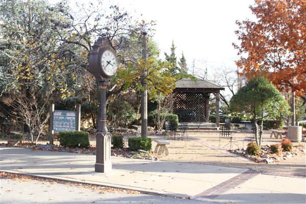 Martha's Corner Pocket Park (2/15/2019 - Credits: Sheri Ishmael-Waldrop)