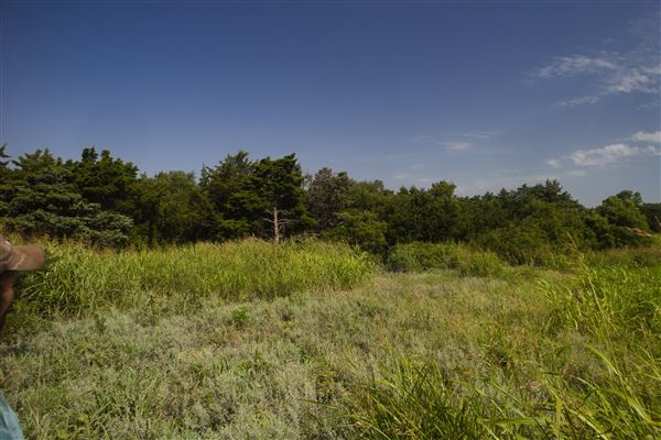 Rydell Ranch - field 1 - deciduous forest land and gentle rolling sandy farm land near a river bed (7/28/2021 - Credits: Jeffrey Rydell)