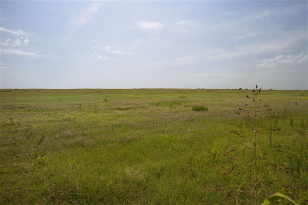 Rydell Ranch - field 1 - deciduous forest land and gentle rolling sandy farm land near a river bed (7/28/2021 - Credits: Jeffrey Rydell)
