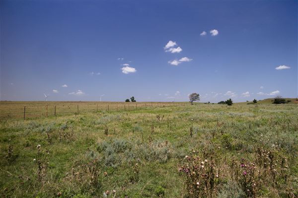 Rydell Ranch - field 2 - 2 mounds with 100' deep "red rock" canyons in between  visibility of up to 30 miles from the top of the mound Covered in mostly in eastern red cedar and some oak trees with native grasses. features slot canyons and waterfalls.  (7/28/2021 - Credits: Jeffrey Rydell)