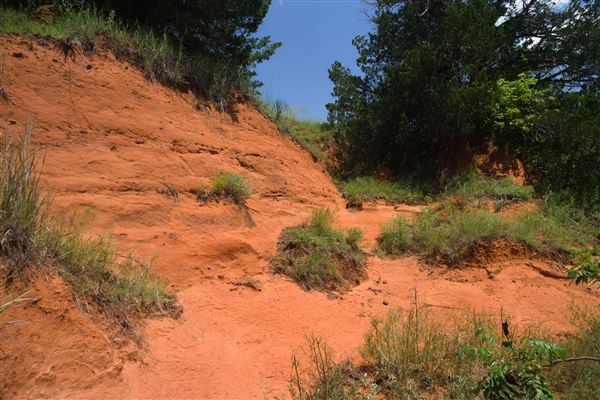 Rydell Ranch - field 2 - 2 mounds with 100' deep "red rock" canyons in between  visibility of up to 30 miles from the top of the mound Covered in mostly in eastern red cedar and some oak trees with native grasses. features slot canyons and waterfalls.  (7/28/2021 - Credits: Jeffrey Rydell)