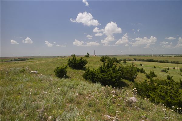 Rydell Ranch - field 2 - 2 mounds with 100' deep "red rock" canyons in between  visibility of up to 30 miles from the top of the mound Covered in mostly in eastern red cedar and some oak trees with native grasses. features slot canyons and waterfalls.  (7/28/2021 - Credits: Jeffrey Rydell)