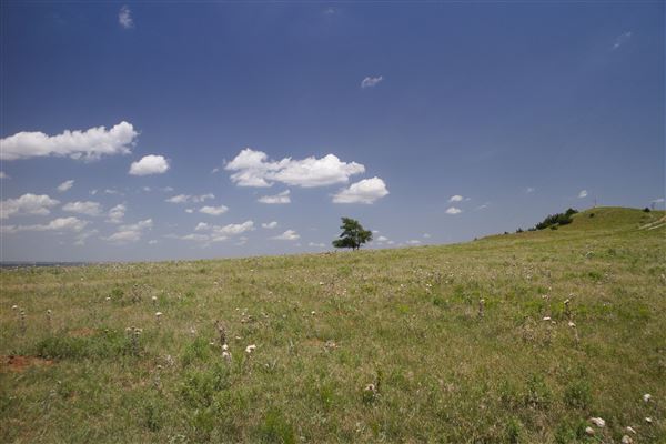 Rydell Ranch - field 2 - 2 mounds with 100' deep "red rock" canyons in between  visibility of up to 30 miles from the top of the mound Covered in mostly in eastern red cedar and some oak trees with native grasses. features slot canyons and waterfalls.  (7/28/2021 - Credits: Jeffrey Rydell)