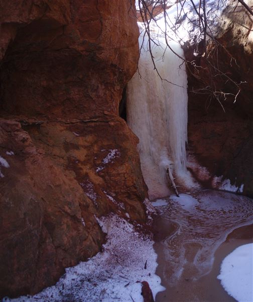 Rydell Ranch - field 2 - 2 mounds with 100' deep "red rock" canyons in between  visibility of up to 30 miles from the top of the mound Covered in mostly in eastern red cedar and some oak trees with native grasses. features slot canyons and waterfalls.  (7/28/2021 - Credits: Jeffrey Rydell)