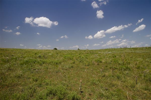 Rydell Ranch - field 3 - Clear cut rolling farmland with views of up to 30 miles few trees (7/28/2021 - Credits: Jeffrey Rydell)
