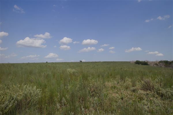 Rydell Ranch - field 6 Rolling farmland with deep canyons, large pond and  Covered in mostly in eastern red cedar and oak trees with native grasses. features slot canyons and waterfalls. (7/28/2021 - Credits: Jeffrey Rydell)