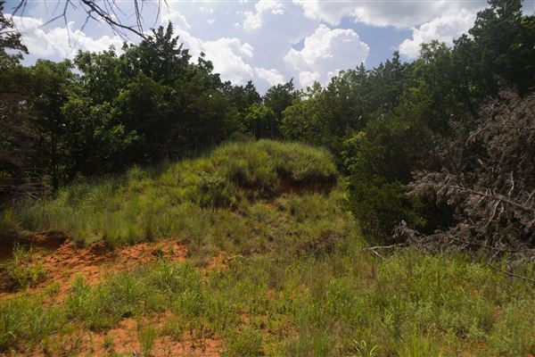 Rydell Ranch - field 6 Rolling farmland with deep canyons, large pond and  Covered in mostly in eastern red cedar and oak trees with native grasses. features slot canyons and waterfalls. (7/28/2021 - Credits: Jeffrey Rydell)