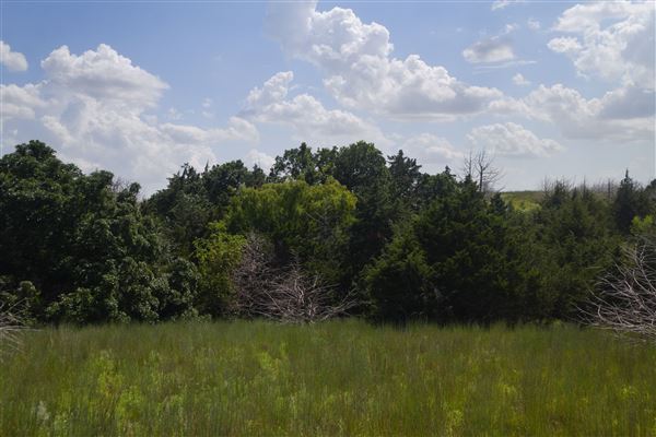 Rydell Ranch - field 6 Rolling farmland with deep canyons, large pond and  Covered in mostly in eastern red cedar and oak trees with native grasses. features slot canyons and waterfalls. (7/28/2021 - Credits: Jeffrey Rydell)
