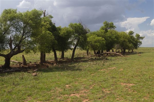 Rydell Ranch - field 7 - Clear cut rolling farmland with few trees. (7/28/2021 - Credits: Jeffrey Rydell)