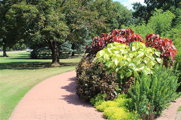 L.A. Cann Memorial Gardens & Estate (9/30/2021)