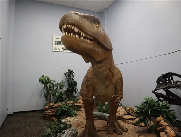 Jasmine Moran Children's Museum (12/29/2021)
