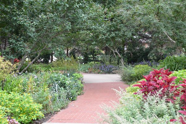 L.A. Cann Memorial Gardens & Estate (7/1/2021 - Credits: Rich Cantillon)
