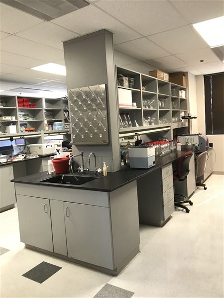 All Things Bugs (5/25/2023 - Credits: Dr. Aaron T. Dossey)