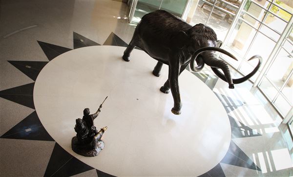 Sam Noble Oklahoma Museum of Natural History (5/14/2024 - Credits: VisitNorman file photos)