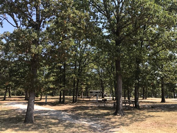 Bell Cow Lake (9/13/2024 - Credits: submitted by: Natalie  Nell)