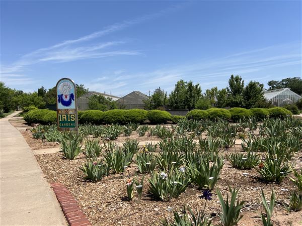 Will Rogers Gardens (5/14/2025 - Credits: Yousef Kazemi / OF+MO)