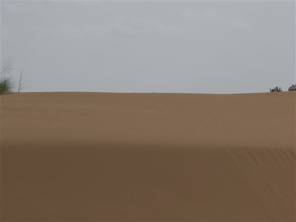 America's Oasis (7/7/2025)