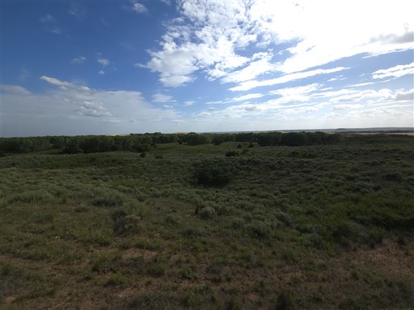 Little Sahara State Park (7/7/2025)