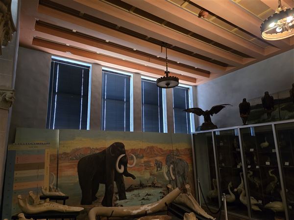 Northwestern Oklahoma State University Museum (7/2/2025 - Credits: Jeremy Zeller)
