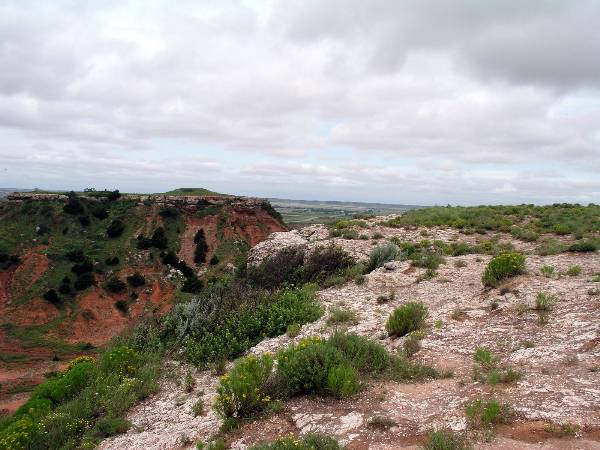 Gloss Mountains (2/5/2009)