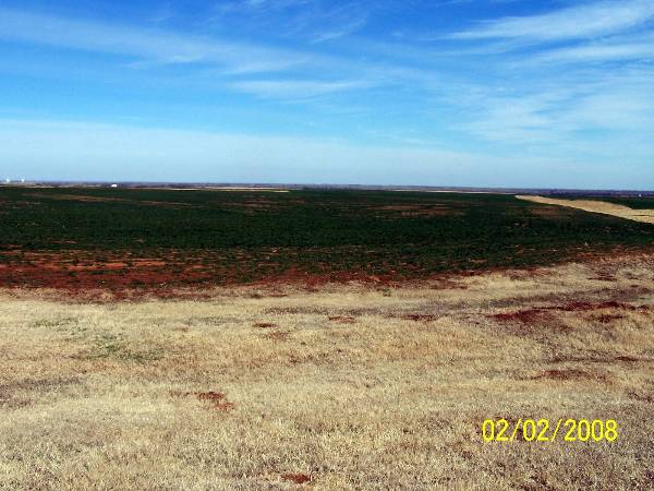Hwy 64 (2/6/2009)