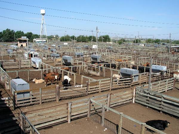 Oklahoma City Stockyards (2/9/2009)