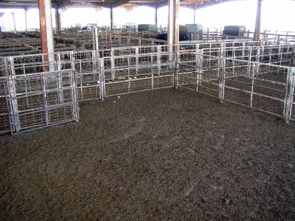 Oklahoma City Stockyards (2/9/2009)