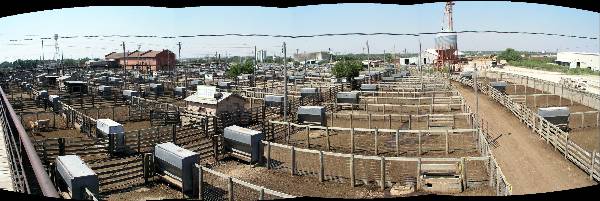 Oklahoma City Stockyards (2/9/2009)