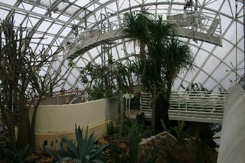 Myriad Botanical Gardens (2/11/2009)