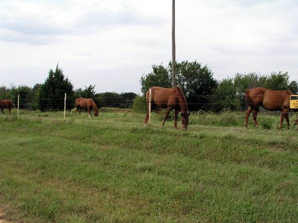 Tatanka Ranch (2/11/2009)