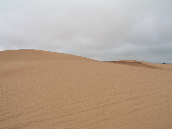 Little Sahara State Park (3/18/2009 - Credits: OFMO)