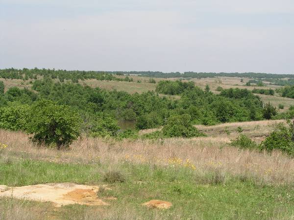 Sugarloaf Ranch (6/24/2009)