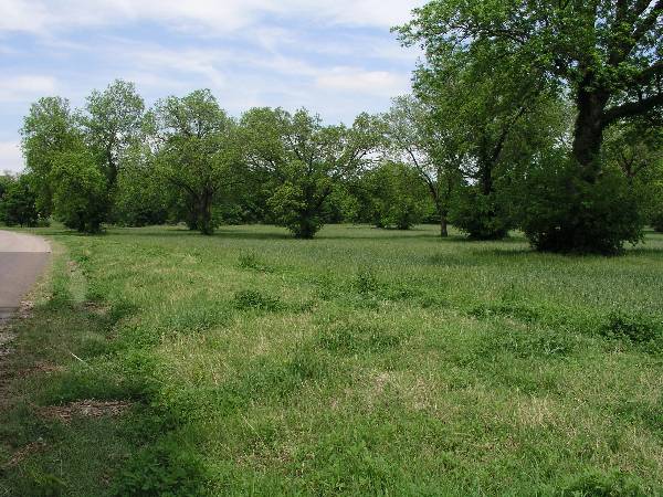 Sugarloaf Ranch (6/24/2009)