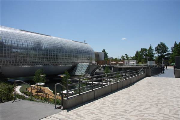 Myriad Botanical Gardens (7/7/2014)