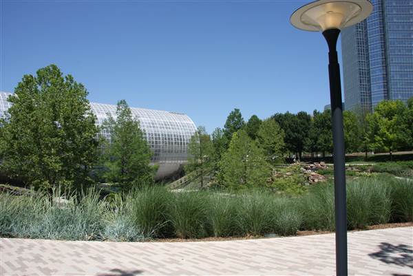 Myriad Botanical Gardens (7/7/2014)