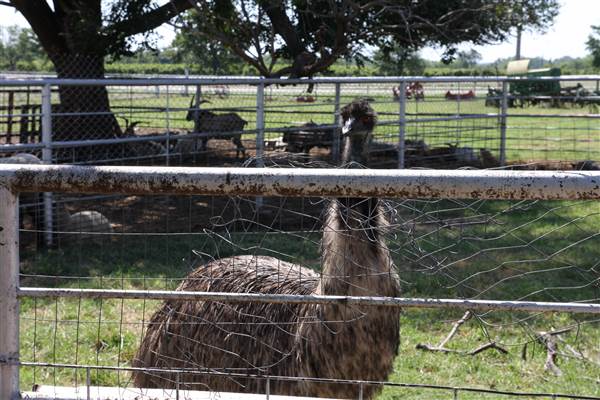 Silvertop Farm & Vineyards (9/9/2014)
