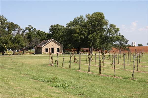 Silvertop Farm & Vineyards (9/9/2014)